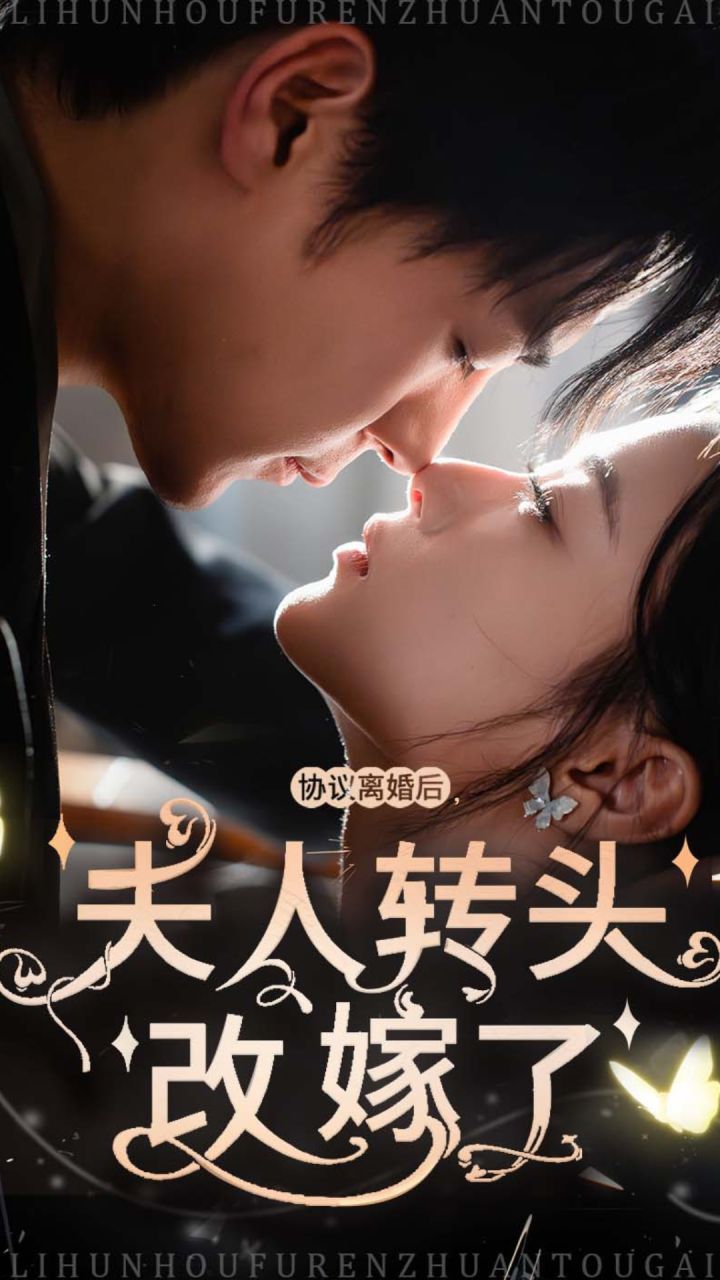 协议离婚后夫人转头改嫁了 第1-20集